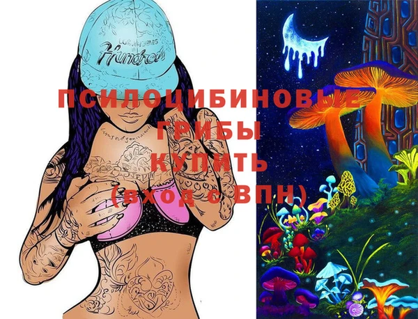 spice Билибино