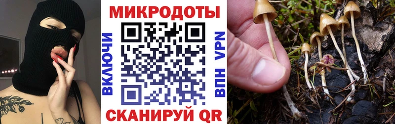 Галлюциногенные грибы Cubensis кракен онион Жуковка